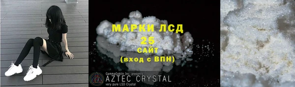 ГАЛЛЮЦИНОГЕННЫЕ ГРИБЫ Алексин