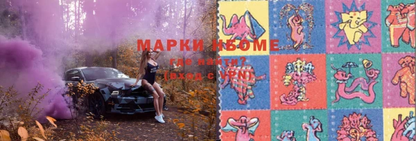 ГАЛЛЮЦИНОГЕННЫЕ ГРИБЫ Алексин