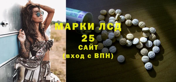 ГАЛЛЮЦИНОГЕННЫЕ ГРИБЫ Алексин