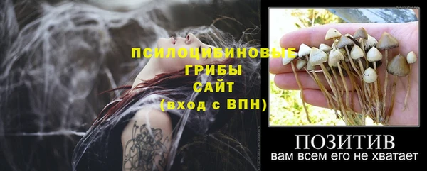 гидра Абинск