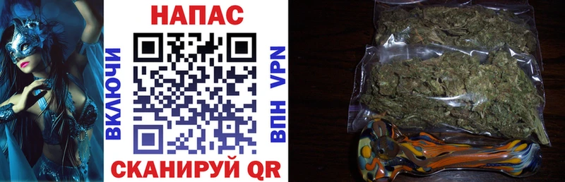 сколько стоит  Мирный  KRAKEN как войти  Бошки марихуана SATIVA & INDICA 